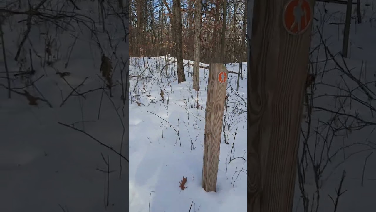 1.4 mile hike through the woods