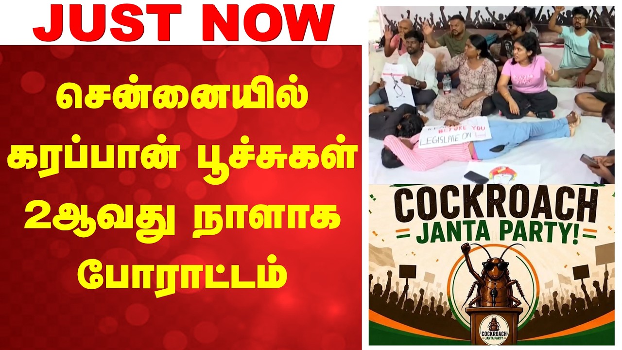 சென்னையில் கரப்பான் பூச்சுகள் 2ஆவது நாளாக போராட்டம் | ockroach Protest | Chennai News