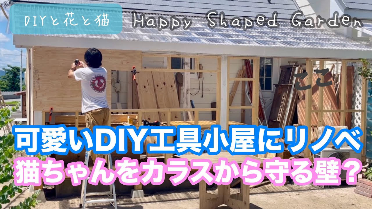 DIY工具小屋を作ろう! 猫ちゃんをカラスから守るための工夫【田舎暮らしDIY・猫と暮らす・地域猫・野良猫・庭猫・洋風の小屋・工具入れ・サンテラス】
