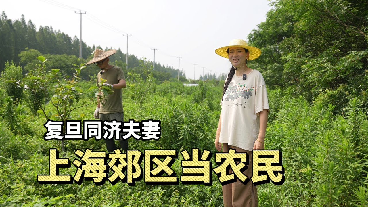 上海高学历夫妻7年包150畝地做農民：耕田讓我很富足