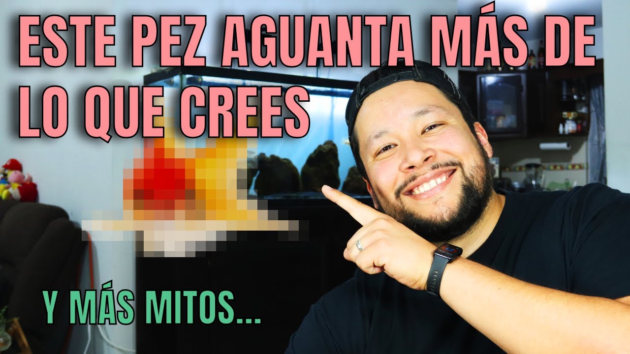 A&uacute;n M&aacute;s Mitos Del Acuarismo | &iquest;Y Tu, Les Cre&iacute;as?