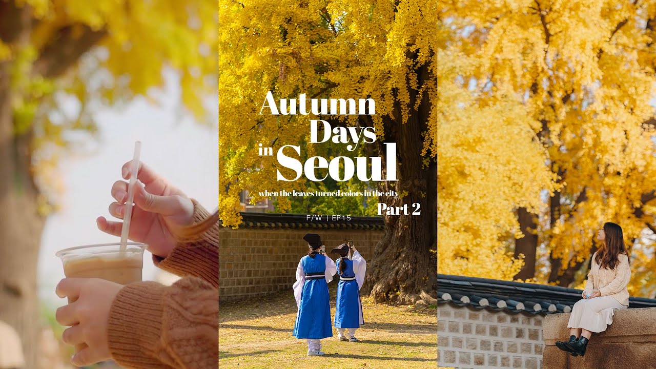 Where to see yellow leaves in Seoul | Autumn | clarissaacindy