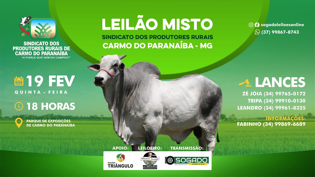LEILÃO MISTO - SINDICATO DOS PRODUTORES RURAIS DE CARMO DO PARANAÍBA/MG - 19/02/2026