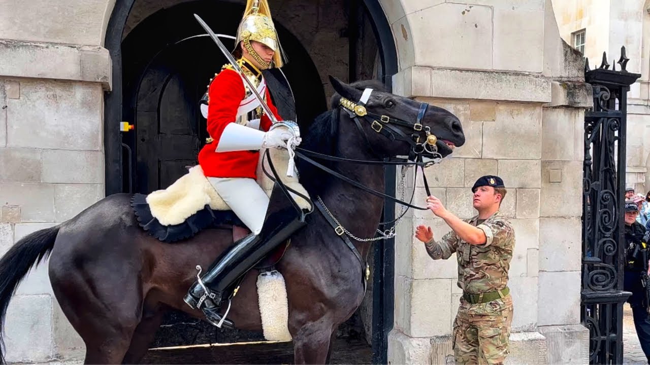 Incredible Horse Rescue: Royal Guard's Unforgettable Act of Heroism