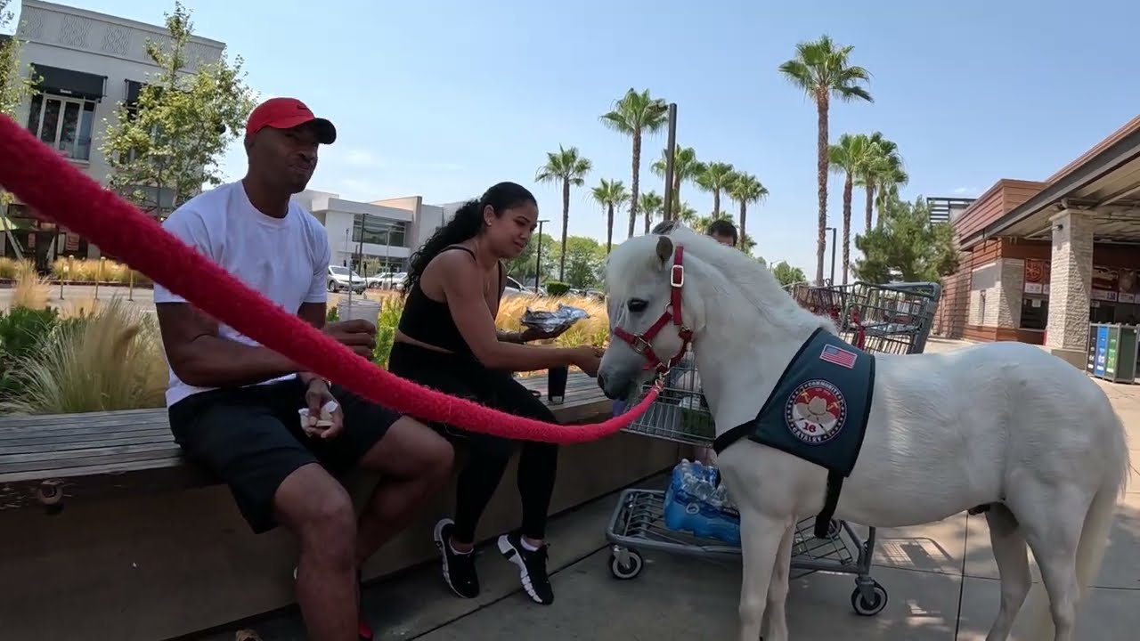 Lt. Rowdy at the Topanga Village 2 of 5 71324