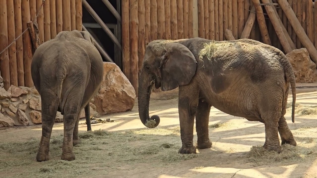 NOWE ZOO Poznań 2025