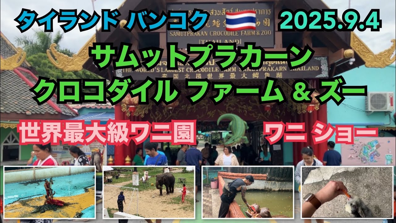 2025.9.4 🇹🇭 #タイ #バンコク #動物園 #タイガー  #ゾウ #クロコダイル #ワニ  #thailand #bangkok #zoo #crocodile #elephant 