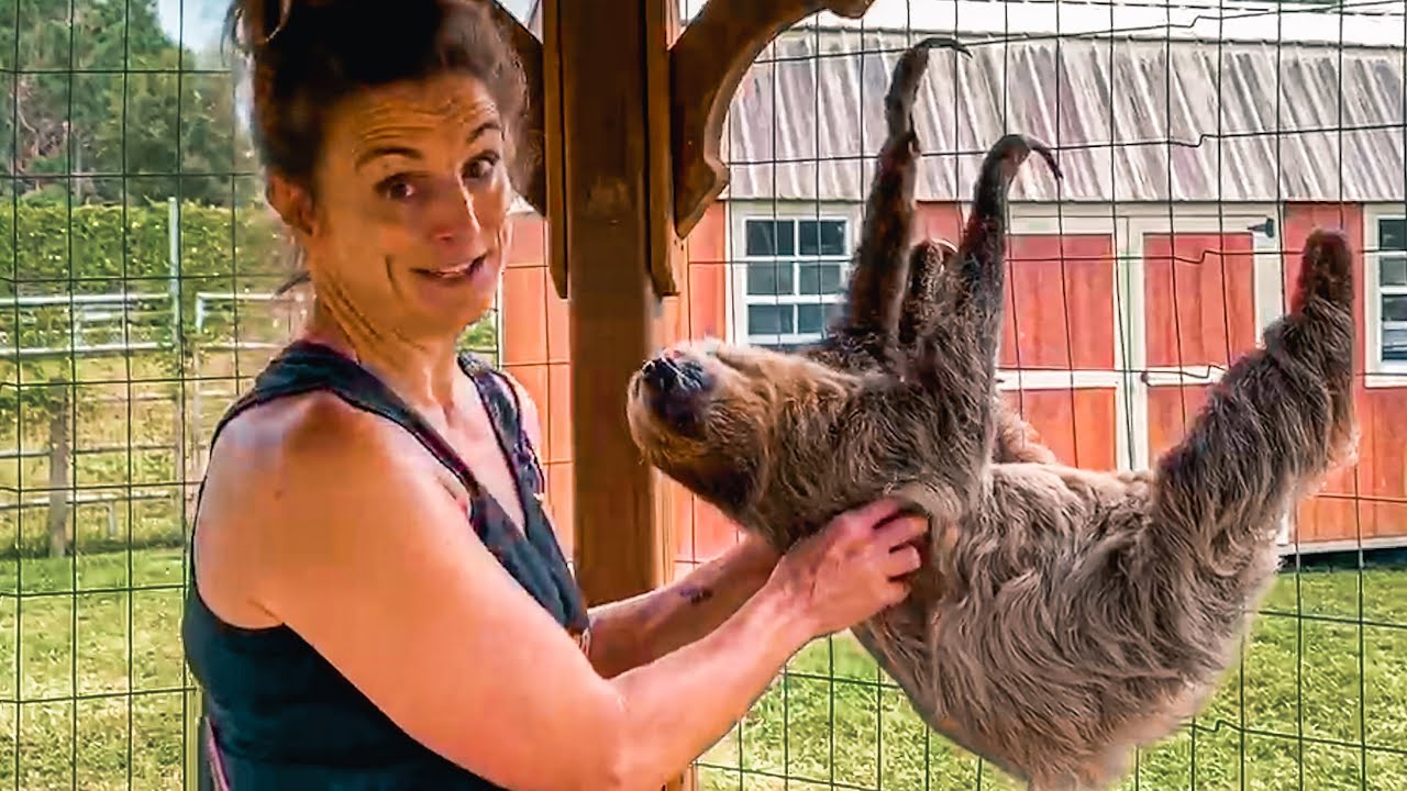 LORI MET MY SLOTH DROGO!!! I THINK SHE LOVES HIM NOW?? | BRIAN BARCZYK