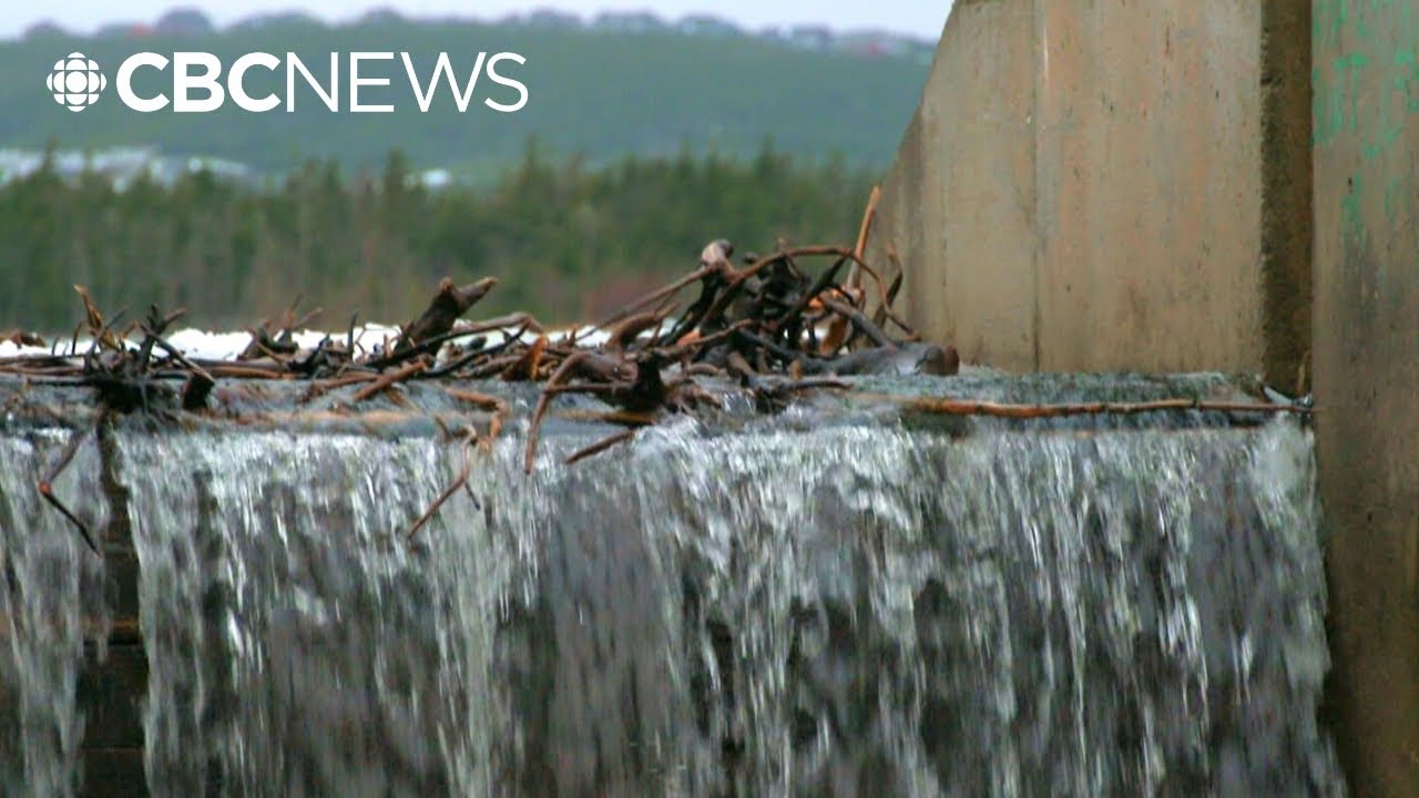Torbay greenlights new water development as residents struggle with with town supply