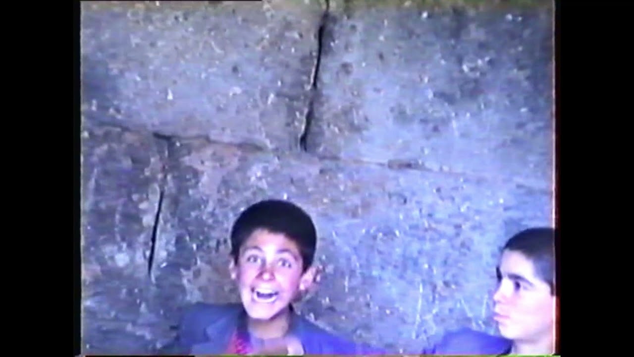 ARABAN VE ÇEVRESİ , 1991