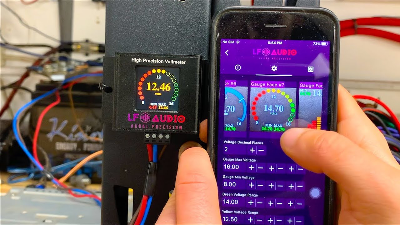 This Could Save You Thousands | LF Audio High Precision Volt Meter Review