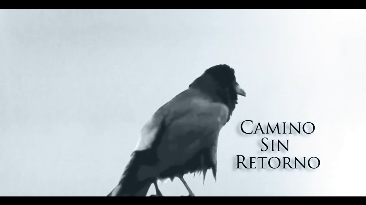 CAMINO SIN RETORNO - IGOMAN EL DRUIDA VÍDEO OFICIAL