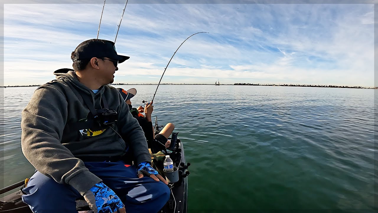 The back bay is full of surprises!! - Kayak Fishing - Bay Bass, Pacific Bonito & California Halibut