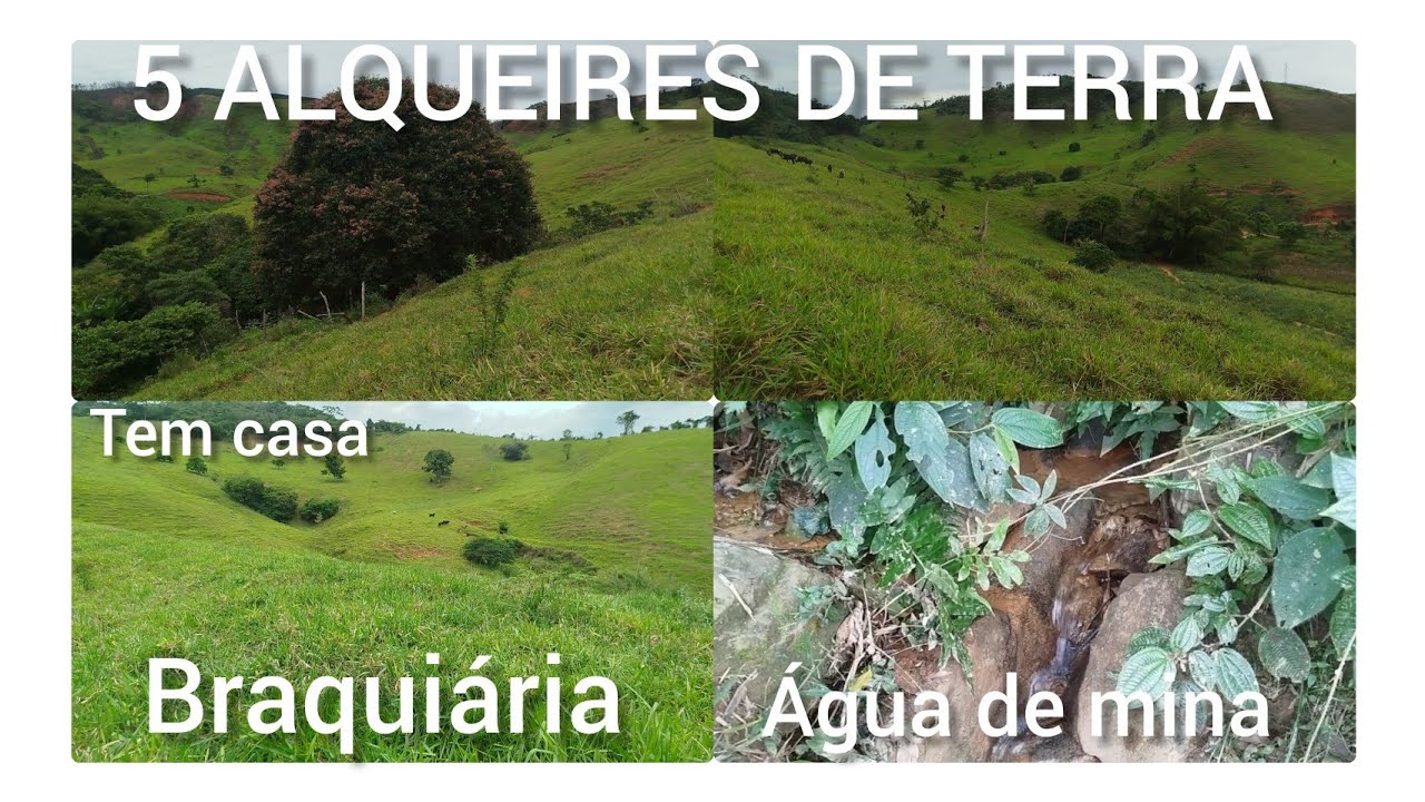 CINCO ALQUEIRES DE TERRA, A VENDA , A 6 KM DO ASFALTO.