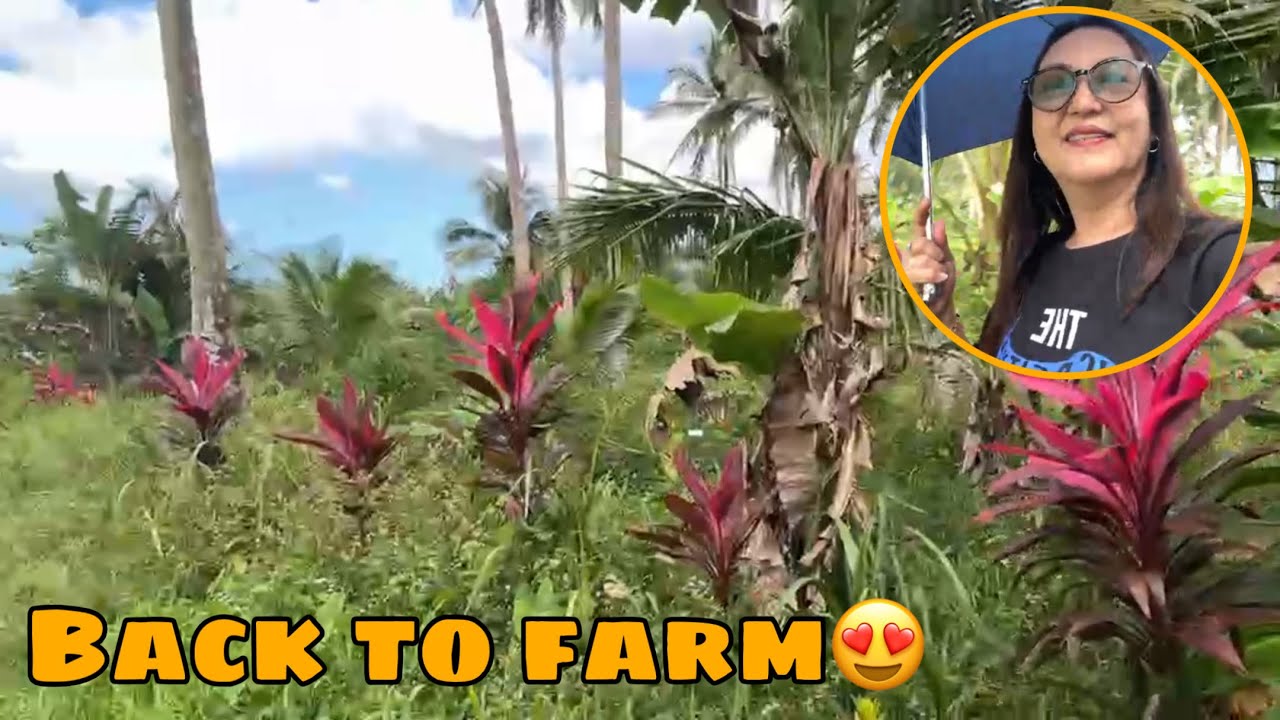 MAY PASOK SI EDWIN, HINDI NAKASAMA🧑‍🌾