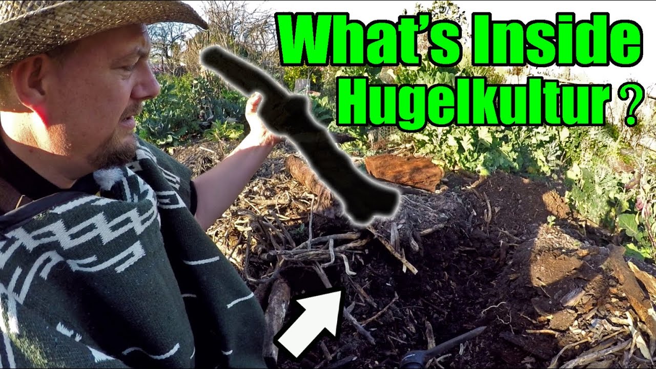 I Cut My 8 Year Old Hugelkultur In Half! You Won't Believe What I found Inside!!