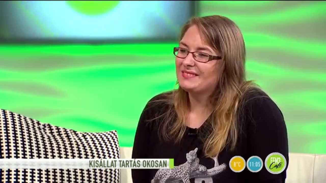 Egy életre választ magának párt a csincsilla!-2015.10.14.-tv2.hu/fem3cafe