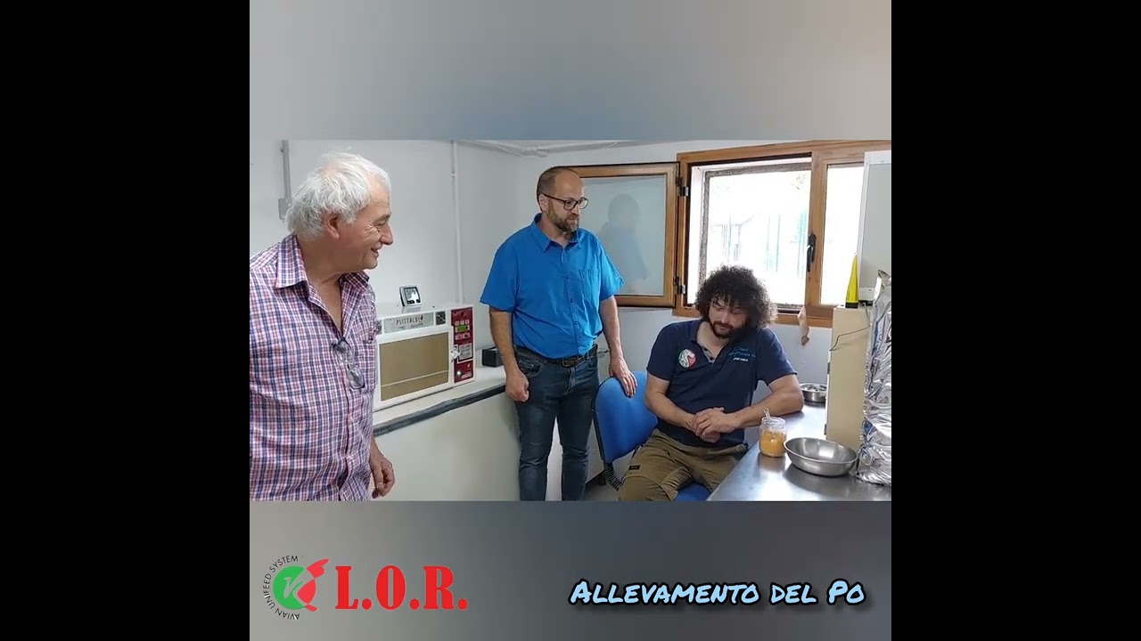 Unifeed Imbecco Psittacidi in collaborazione con Allevamento del Po.
