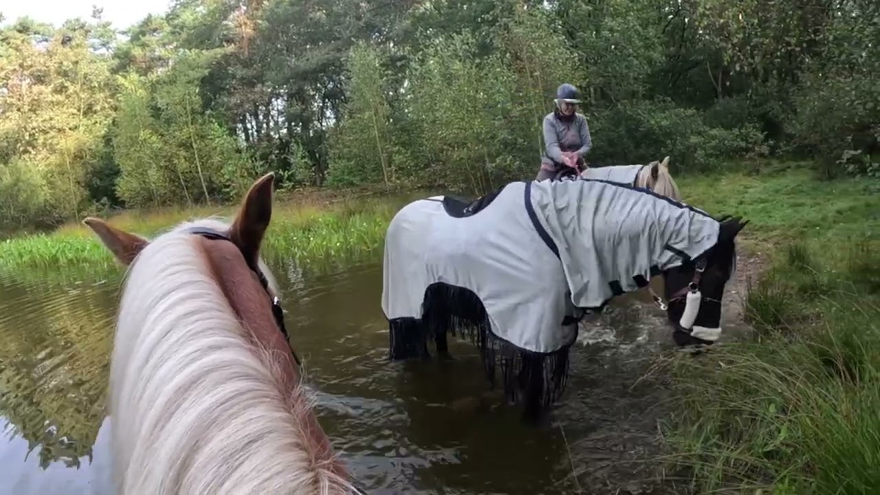 Zondag ritje met ontbijt 3-09-2023