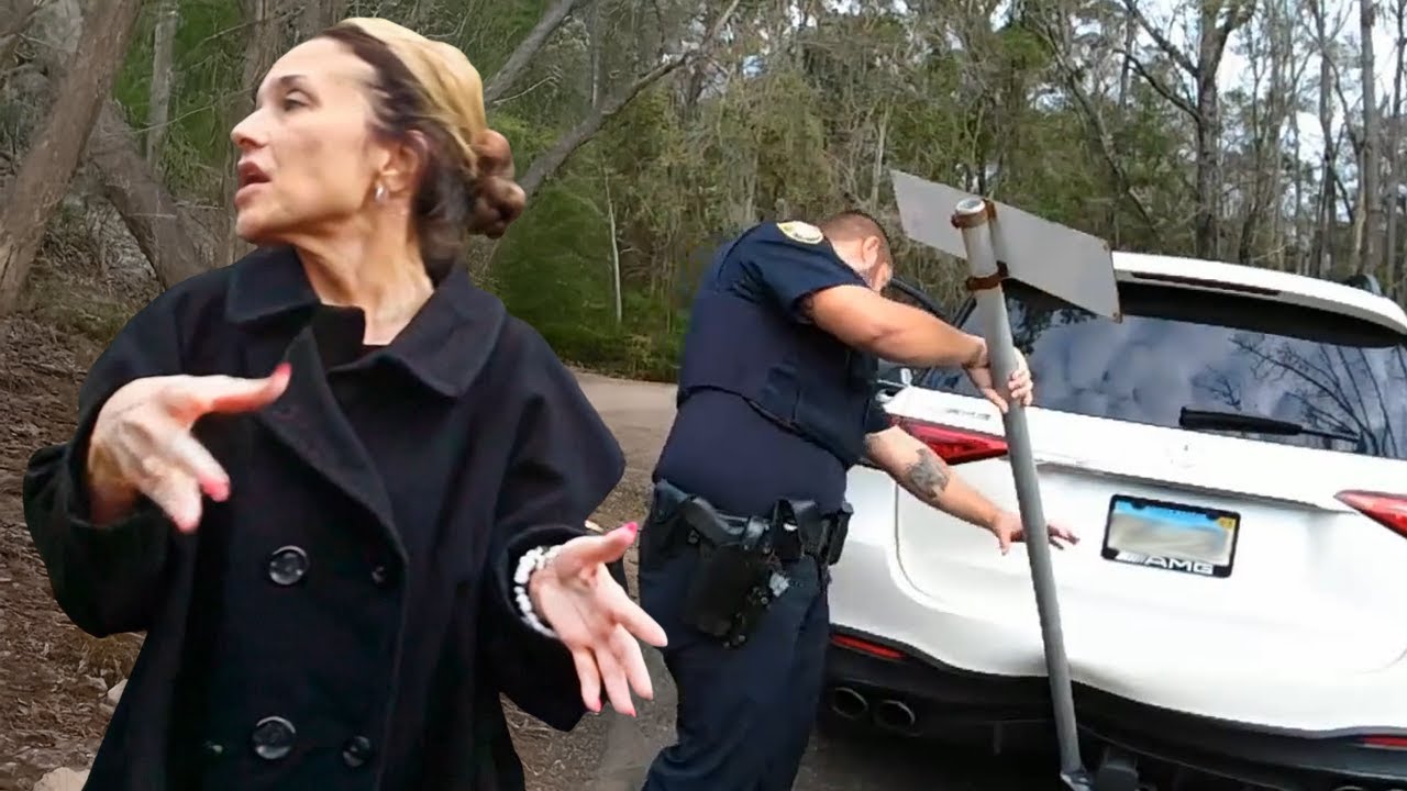 Police Arrest Clueless Woman With Street Sign Sticking Out Of Car