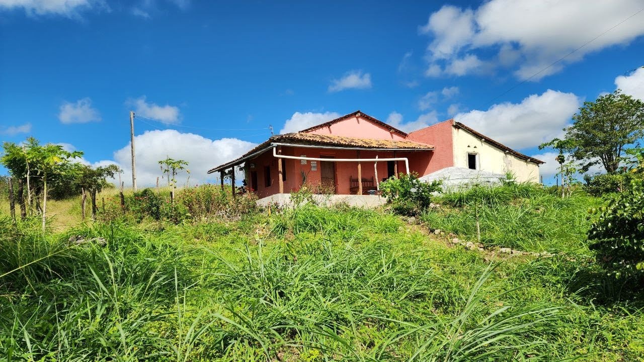 Sítio de Quase 7 Hectares com Casa Reformada à Venda em Passira Pernambuco | R$120.000