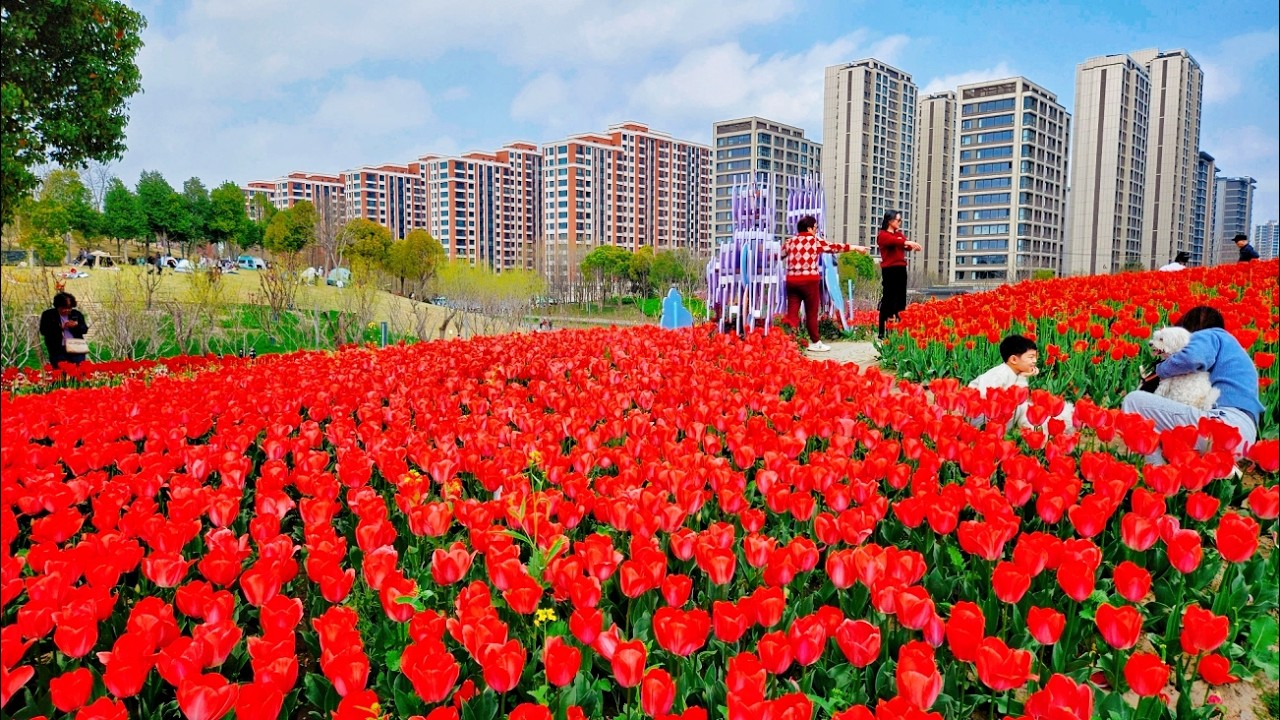 China's Grand Spring Garden City！Shanghai Walk Travel 2026