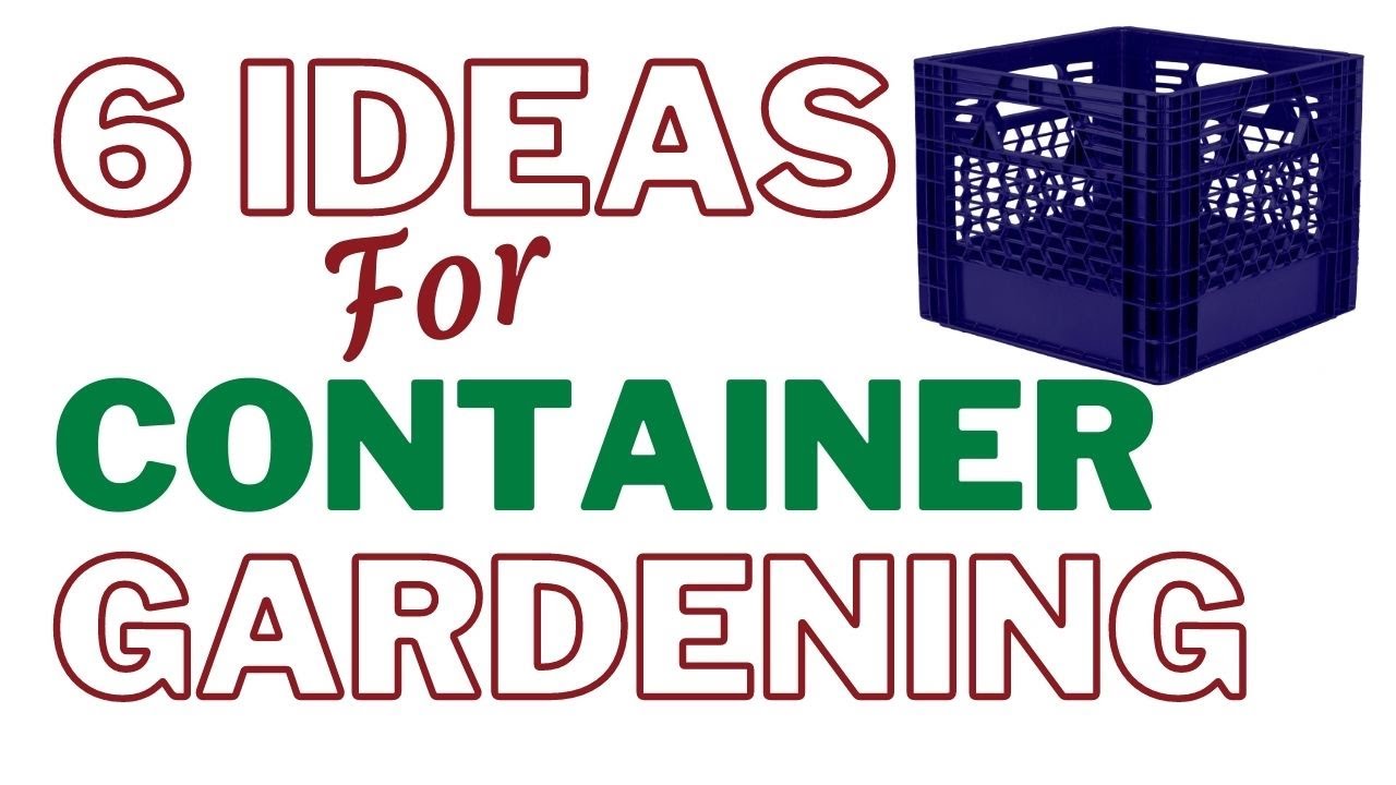 6 Container Gardening Ideas For Beginners Growing Food at Home