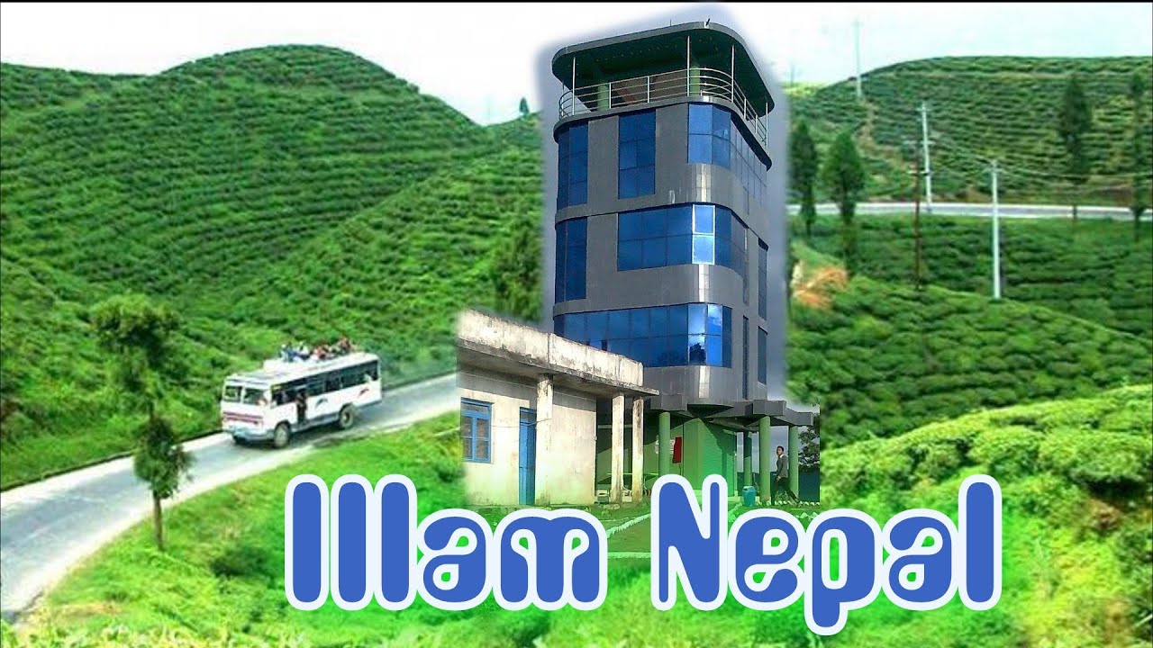 ilam Nepal best place to visit Tea Garden