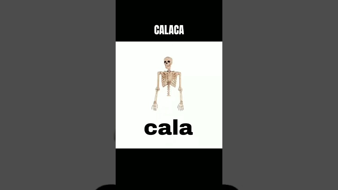 CALACA #tiktok #viral #tiktokvideo #funny #meme #memes #laugh #skeleton #calaca #tiktokov #shorts