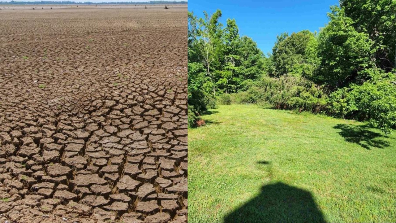HEALING THE LAND