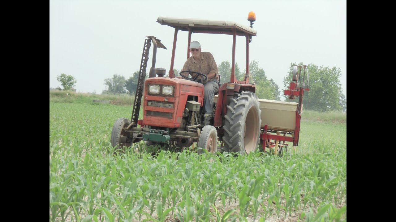 Sarchiatura Mais 2015 | Carraro 352 + Bianchi 4 File | Weeding Mais 2015