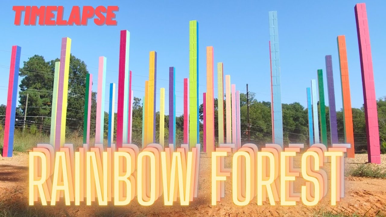 Rainbow Forest Public Art Construction Timelapse