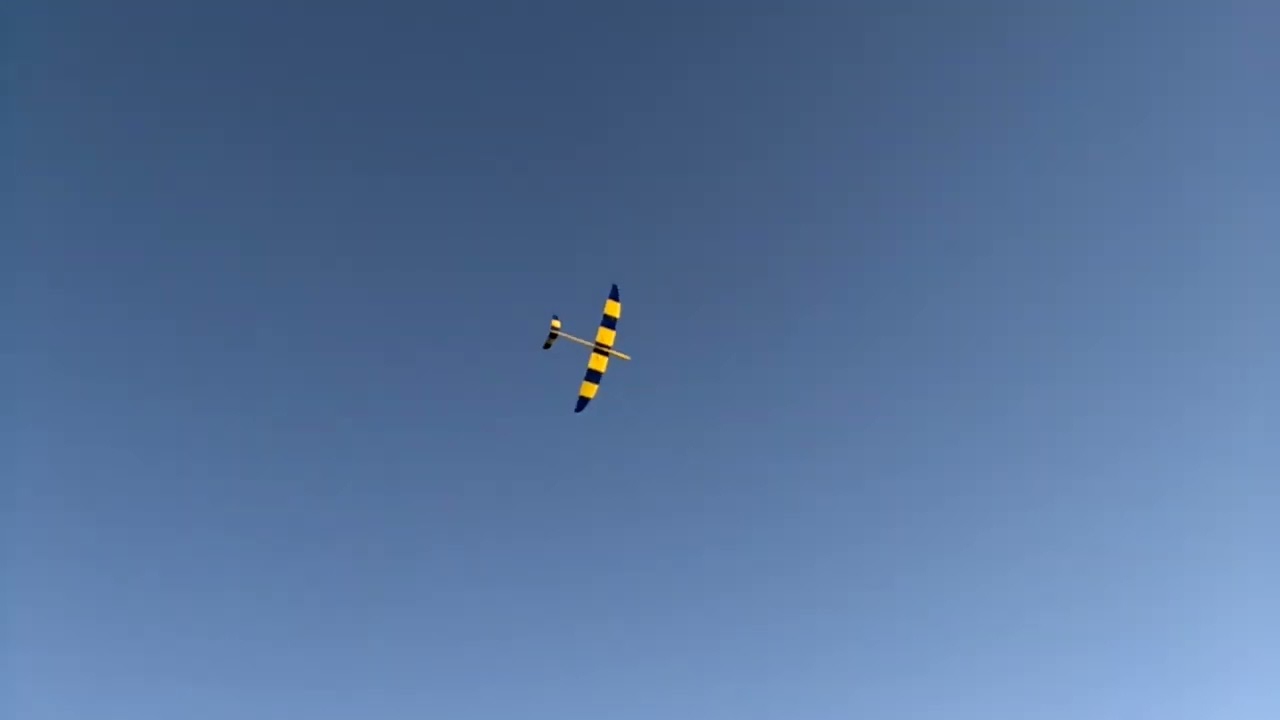 Ocelot 60