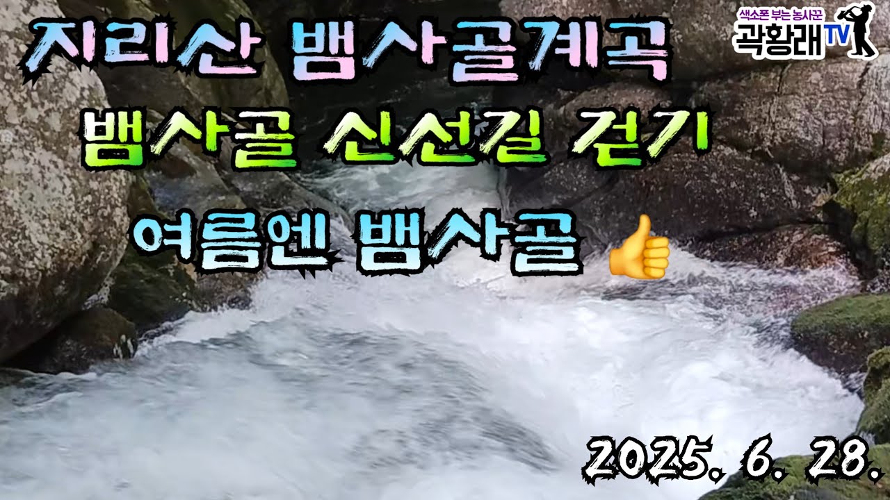 지리산 뱀사골 계곡 최고의 여름 피서지 뱀사골 신선길을 걸어봐요