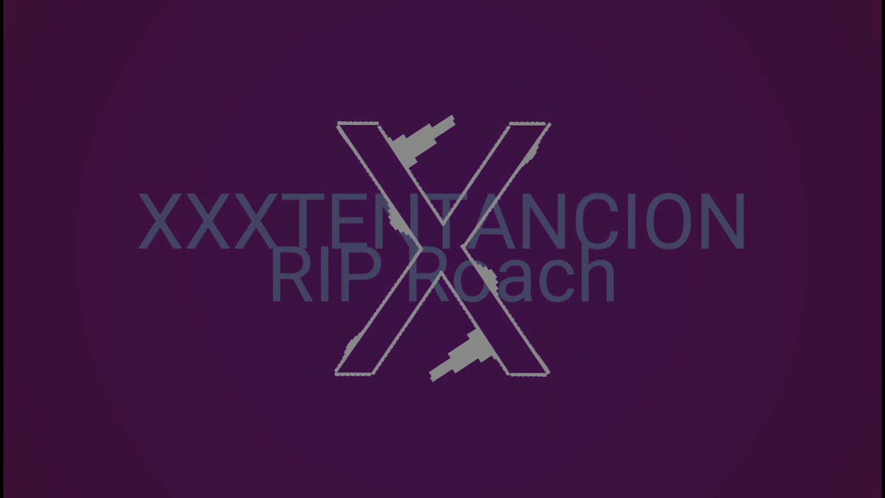 XXXTENTACION - Rip Roach instrumental