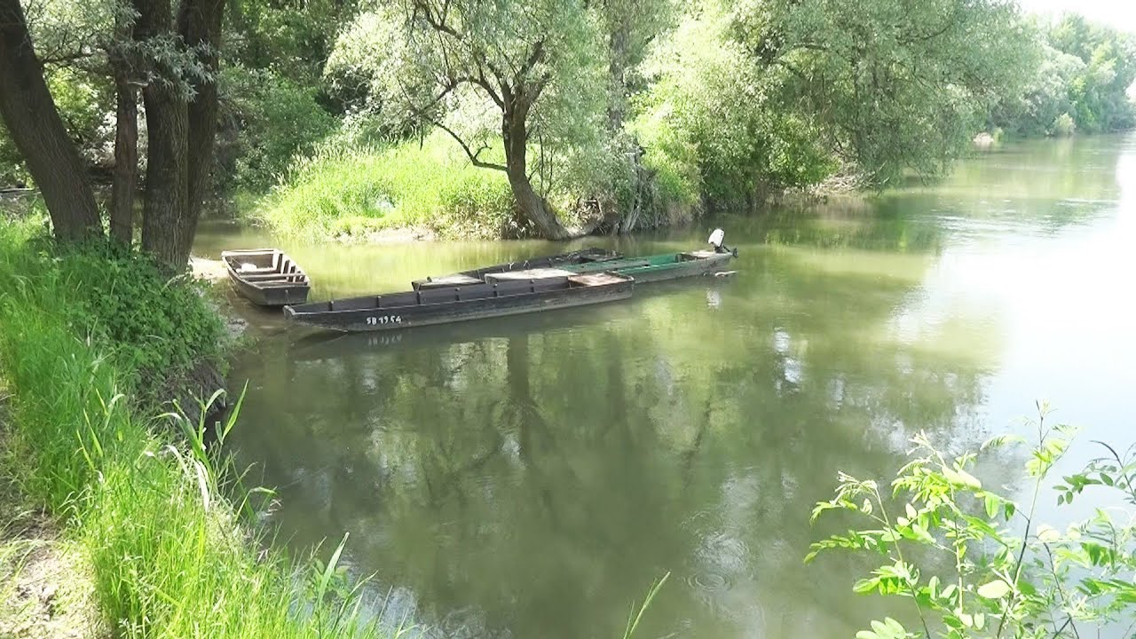 Drava 24.5.2022. - Sedam malih dravskih luka-odmorišta