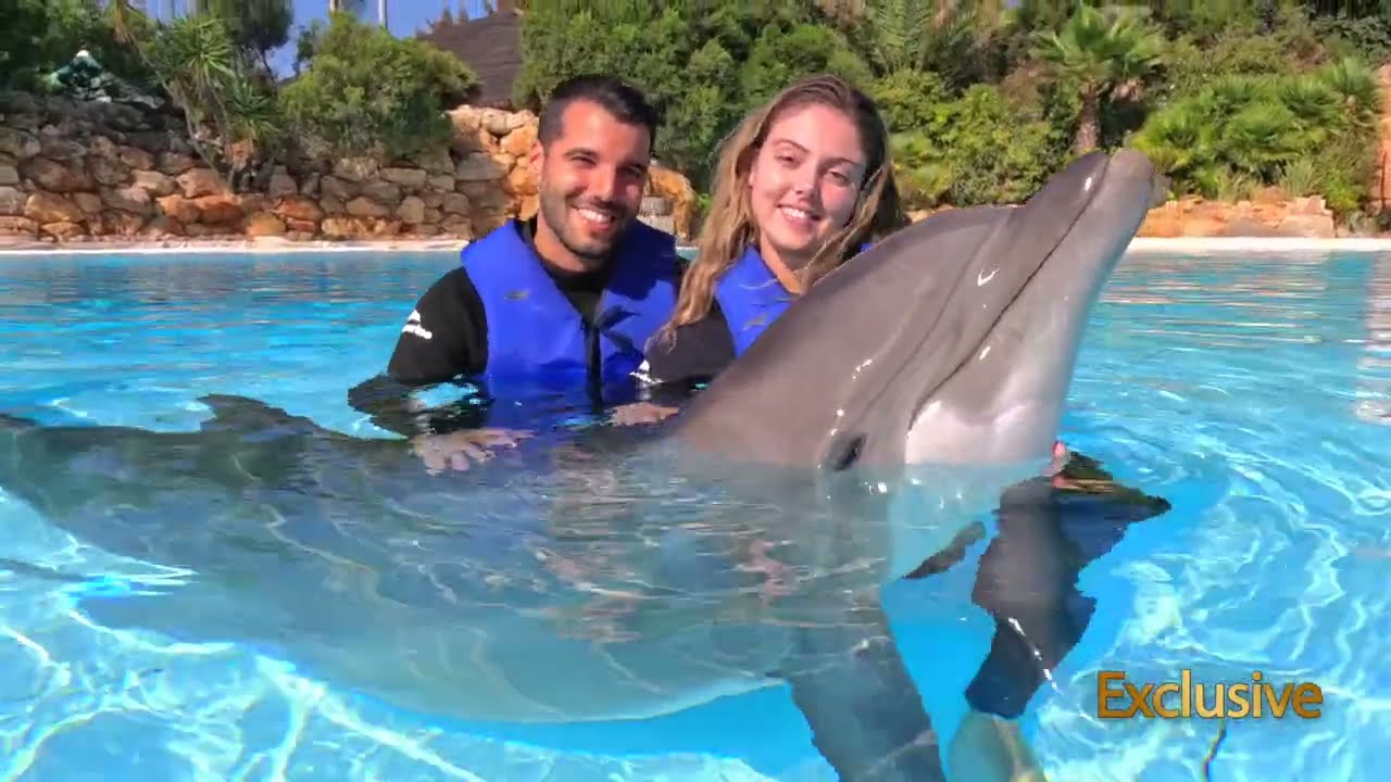 Dolphin Emotions Exclusive | Zoomarine Algarve