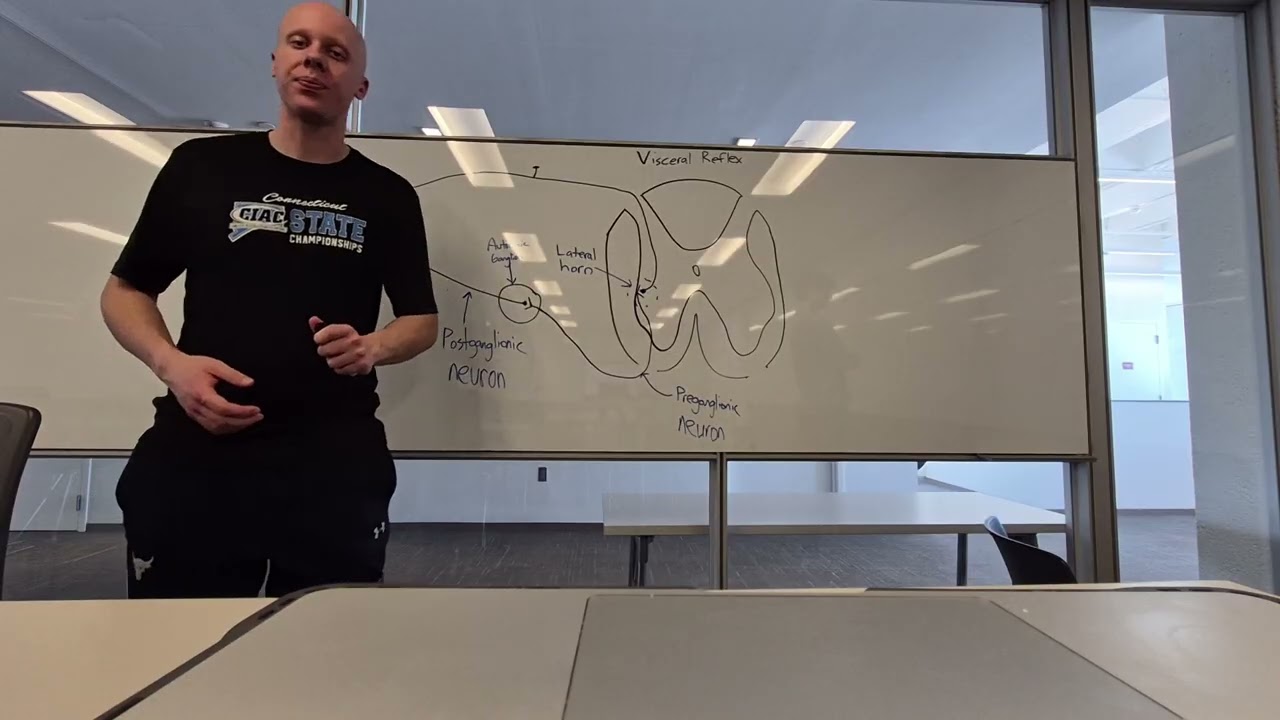 Visceral Reflex Arc