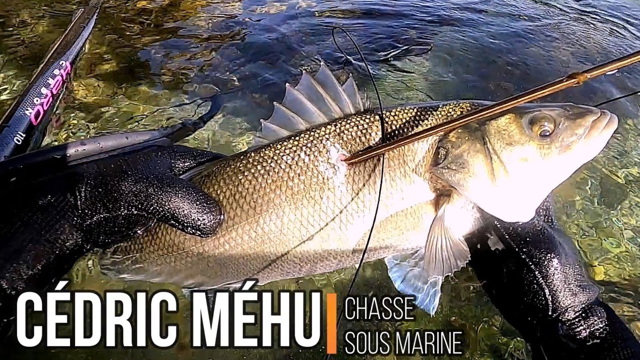 UNE CHASSE EXCEPTIONNELLE AVEC SEB