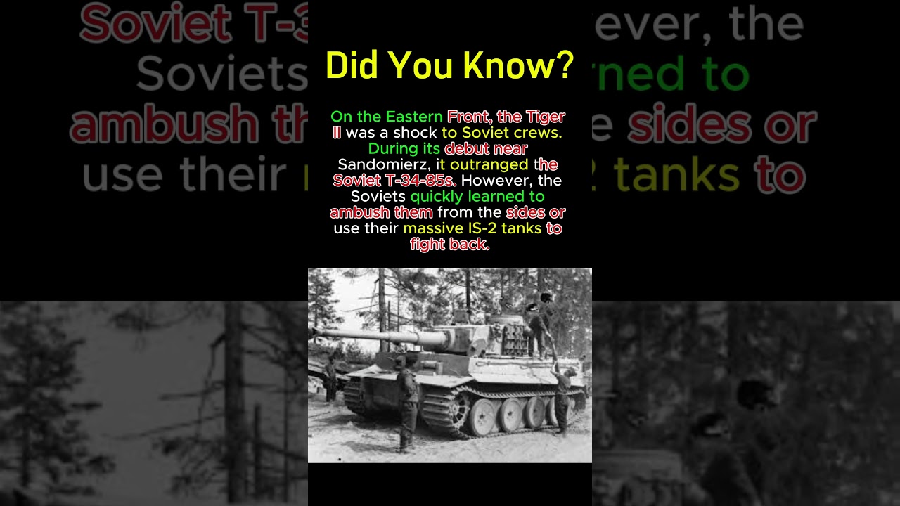 Tiger II vs  T 34 Swarms 🇷🇺! 