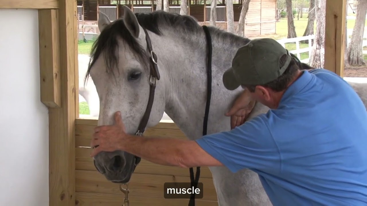 Under the Scapula Technique: Release Deep Muscle Tension for Better Mobility