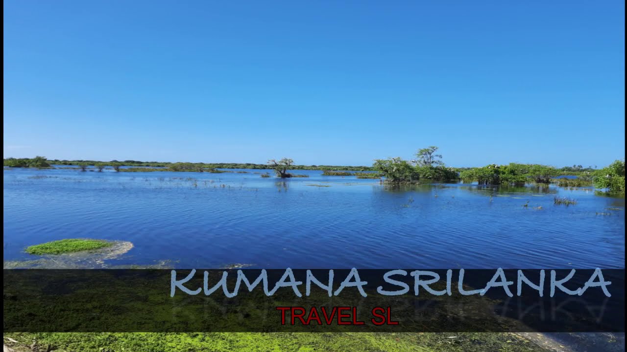 Kumana National Park
