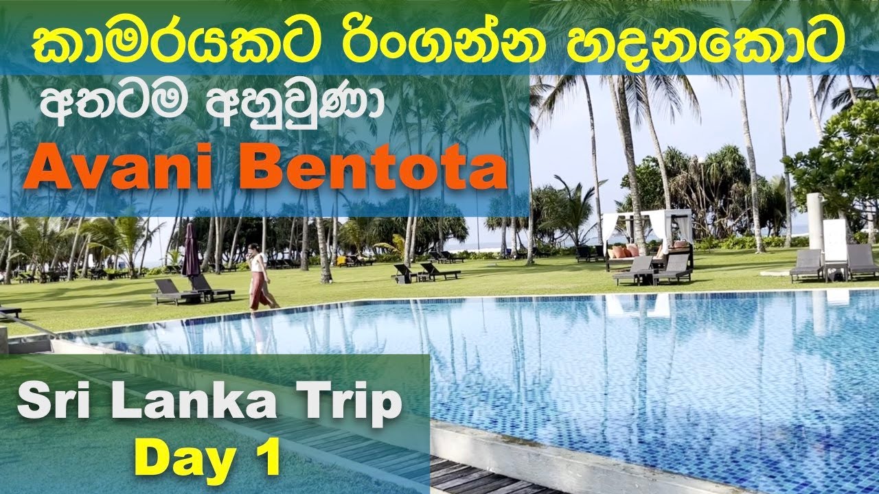 Fabulous stay at Avani Bentota කාමරයකට රිංගන්න හදනකොට අතටම අහුවුණා