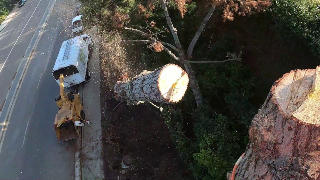 PRACTICING (FIMBLECLIMB ADJUSTABLE FRICTION SAVER) La Jolla CA