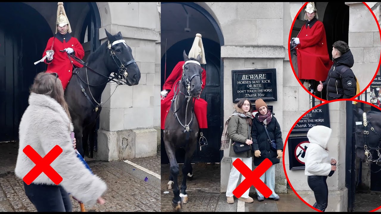 Stubborn Tourists Meet Their Match: Guard Uses Horse to Move Them Out of the Box. COMPLILATION‼️