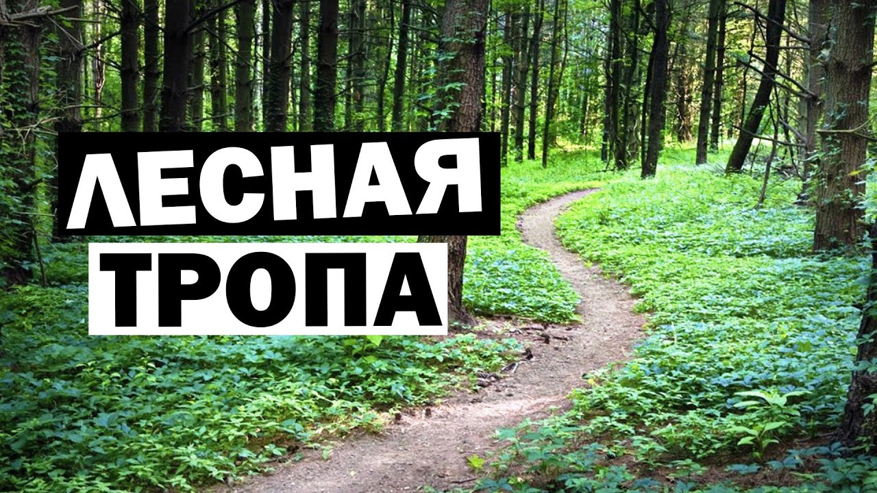 Истра | На велосипеде по лесной тропе | Релакс после тяжелой недели