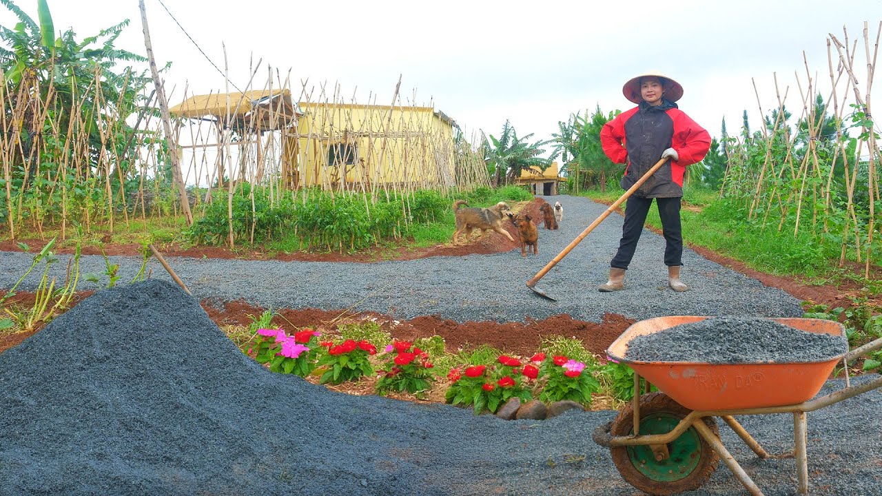 Builds A New Road Leading Straight To The House , Harvests Yardlong Beans To Cook| Tieu Lien Harvest