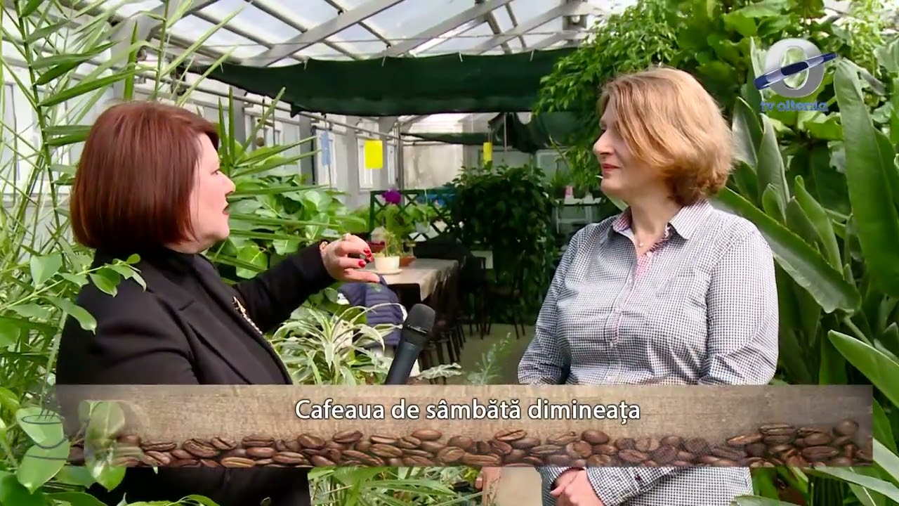 Flori de Florii