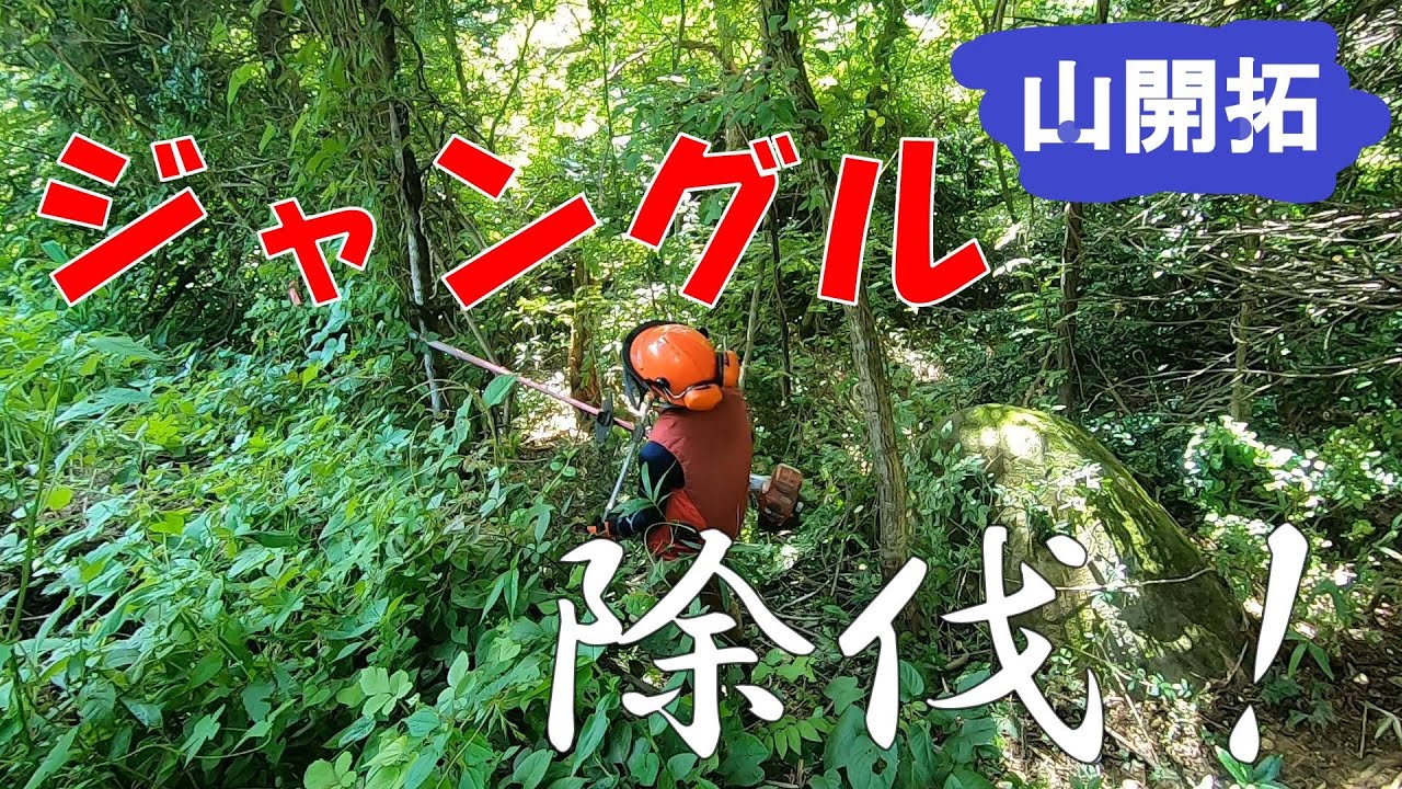【山開拓】隣の土地を勝手に除伐してみたら大変な事になってた！！