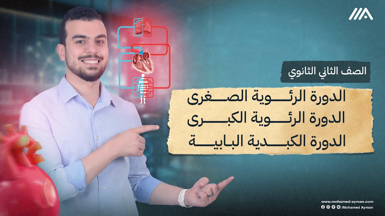 أحياء تانية ثانوى-الدورات: الرئوية والجهازية الكبرى والبابية الكبدية-والحهاز الليمفاوى✊🏻🤍